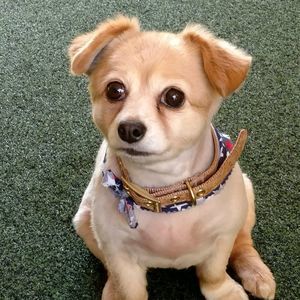 Meet your Posher, Michelle